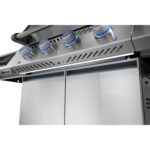 Low Res_JPG-PrestigePro_PRO500VXRSIBPSS_Detail_Ang_CabinetLight