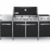 WEBER SUMMIT GRILL CENTER NG 292101-3222